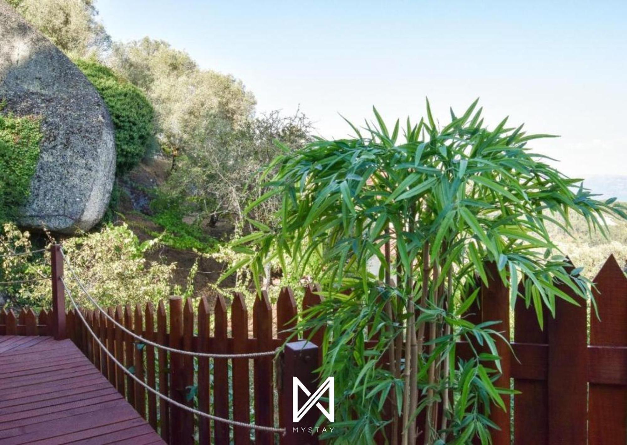 Mystay - Casa Das Oliveirinhas Bungalow By Refugio Ao Luar เซลอริโก จิ บาสโต ภายนอก รูปภาพ